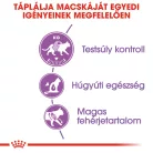 Royal Canin Feline Health Nutrition Sterilised 37 száraz macskaeledel 4kg