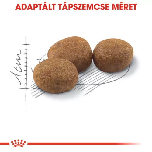 Royal Canin Feline Health Nutrition Sterilised 37 száraz macskaeledel 4kg