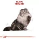 Royal Canin Feline Breed Nutrition Perzsa adult száraz macskaeledel 4kg