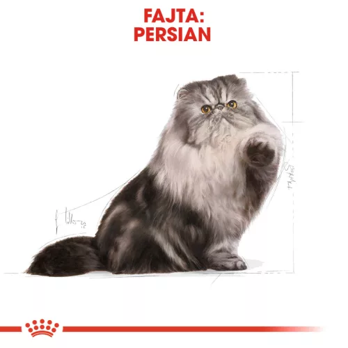 Royal Canin Feline Breed Nutrition Perzsa adult száraz macskaeledel 4kg