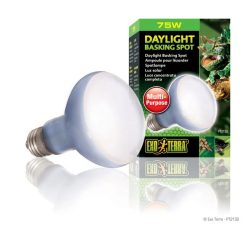 ExoTerra fénycső terráriumba SunGlo 75W spot izzó