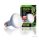 ExoTerra fénycső terráriumba SunGlo 75W spot izzó