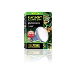 ExoTerra fénycső terráriumba SunGlo 100W spot izzó