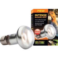 ExoTerra fényforrás PT-2135 Day Glo 75w