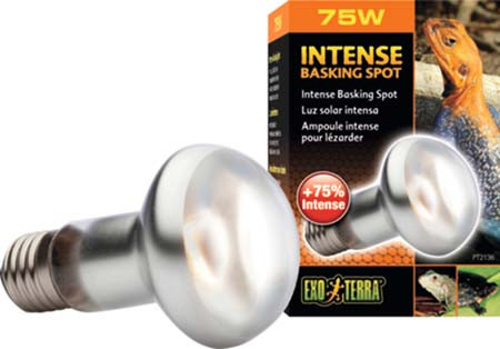 ExoTerra fényforrás PT-2135 Day Glo 75w