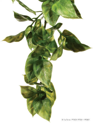 ExoTerra Jungle Plant Amapallo Terráriumi műnövény dekoráció 30cm S