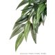 ExoTerra Silk Plant Ruscus Terráriumi selyem műnövény dekoráció 42cm M