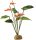 ExoTerra Rainforest Plant Anthurium Bush Terráriumi flamingóvirág műnövény dekoráció  30cm S