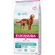 Eukanuba Daily Care száraz kutyaeledel emésztőrendszeri problémákra 12kg