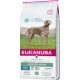 Eukanuba Daily Care száraz kutyaeledel ízületi problémákra 12kg