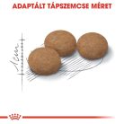 Royal Canin Feline Health Nutrition Sterilised Ageing 12+ száraz macskaeledel 400g