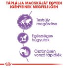 Royal Canin Feline Health Nutrition macska tasak adult Steril gravy 12x85g