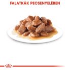 Royal Canin Feline Health Nutrition macska tasak adult Steril gravy 12x85g