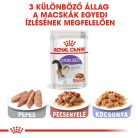 Royal Canin Feline Health Nutrition macska tasak adult Steril gravy 12x85g