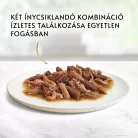 Gourmet Gold macska konzerv duo nyúl&máj 12x85g