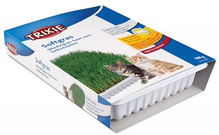 Trixie macskafű dobozos 100g