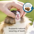 Beaphar Care+® teljesértékű eledel felnőtt nyulaknak 1,5kg