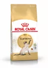 Royal Canin Feline Breed Nutrition Sziámi adult száraz macskaeledel 400g