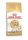 Royal Canin Feline Breed Nutrition Sziámi adult száraz macskaeledel 400g