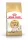 Royal Canin Feline Breed Nutrition Sziámi adult száraz macskaeledel 400g