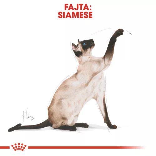 Royal Canin Feline Breed Nutrition Sziámi adult száraz macskaeledel 400g