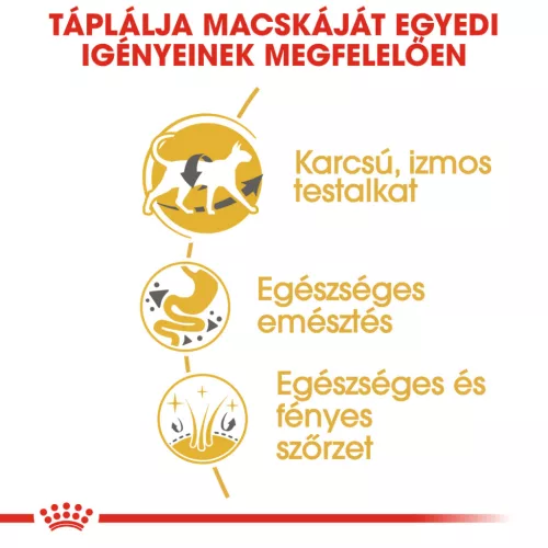 Royal Canin Feline Breed Nutrition Sziámi adult száraz macskaeledel 400g