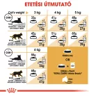 Royal Canin Feline Breed Nutrition Sziámi adult száraz macskaeledel 400g