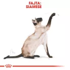 Royal Canin Feline Breed Nutrition Sziámi adult száraz macskaeledel 2kg