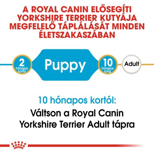 Royal Canin Breed Health Nutrition Yorkshire terrier puppy száraz kutyaeledel 1,5kg