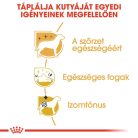 Royal Canin Breed Health Nutrition Uszkár adult száraz kutyaeledel 1,5kg