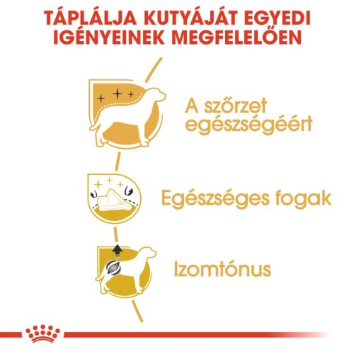 Royal Canin Breed Health Nutrition Uszkár adult száraz kutyaeledel 1,5kg