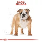 Royal Canin Breed Health Nutrition Bulldog száraz kutyaeledel adult 12kg