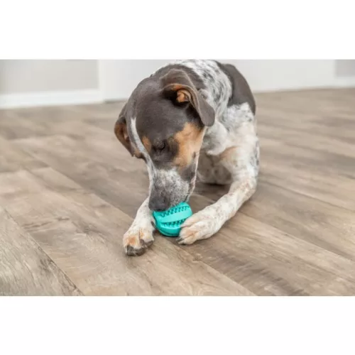 Trixie DentaFun kutyajáték gumilabda menta 5cm