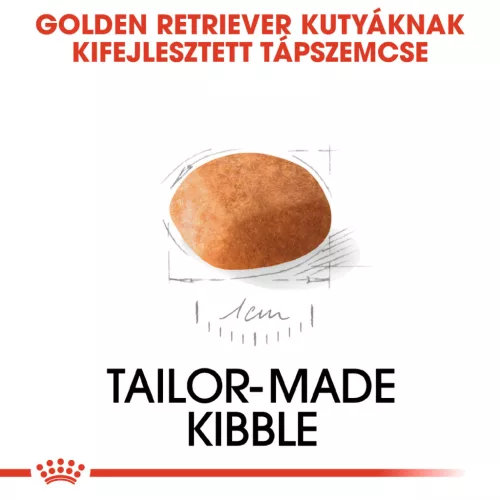 Royal Canin Breed Health Nutrition Golden Retriever puppy száraz kutyaeledel 12kg