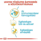 Royal Canin Breed Health Nutrition Golden Retriever puppy száraz kutyaeledel 12kg