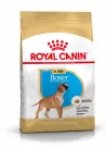 Royal Canin Breed Health Nutrition Boxer junior száraz kutyaeledel 12kg