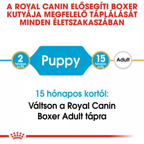 Royal Canin Breed Health Nutrition Boxer junior száraz kutyaeledel 12kg