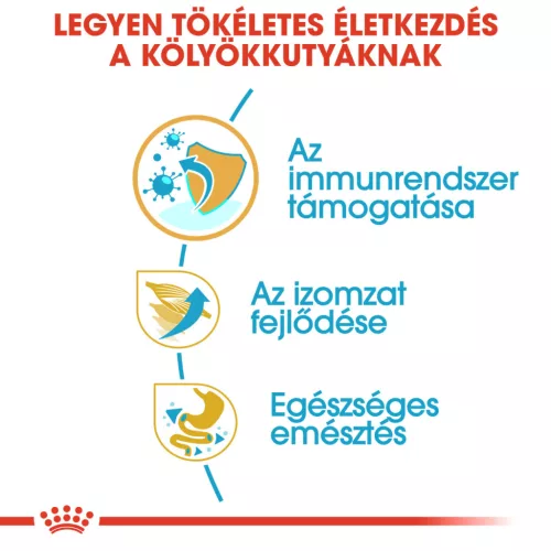 Royal Canin Breed Health Nutrition Boxer junior száraz kutyaeledel 12kg