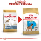 Royal Canin Breed Health Nutrition Boxer junior száraz kutyaeledel 12kg