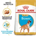 Royal Canin Breed Health Nutrition Boxer junior száraz kutyaeledel 12kg