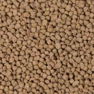 Beaphar Care+® törpehörcsögeledel 700g