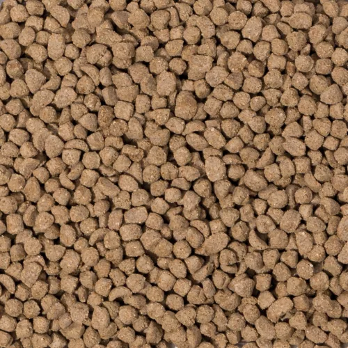 Beaphar Care+® törpehörcsögeledel 700g