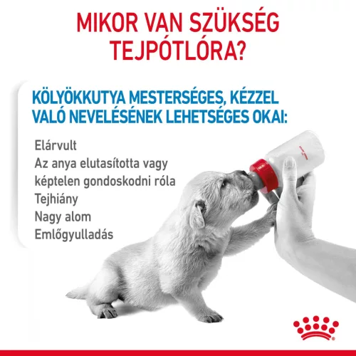 Royal Canin Special 1st age milk tejpótló kutyáknak 2kg