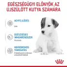 Royal Canin Special 1st age milk tejpótló kutyáknak 2kg