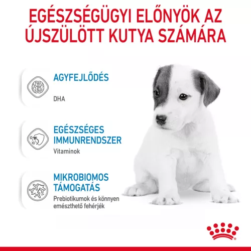 Royal Canin Special 1st age milk tejpótló kutyáknak 2kg
