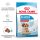 Royal Canin Size Health Nutrition Medium starter Mother&Babydog száraz kutyaeledel 4kg