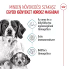 Royal Canin Size Health Nutrition Medium starter Mother&Babydog száraz kutyaeledel 4kg