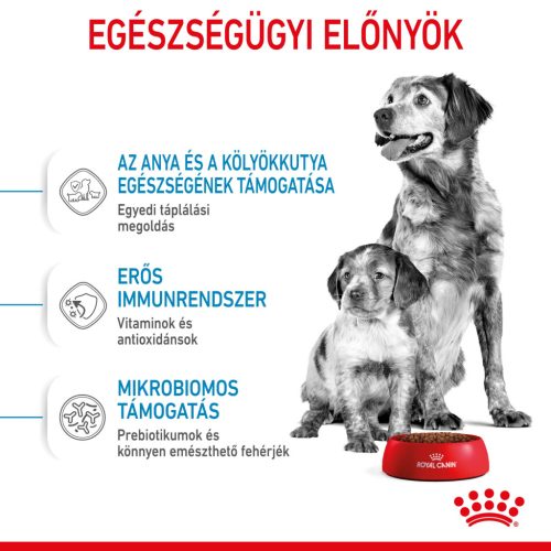Royal Canin Size Health Nutrition Medium starter Mother&Babydog száraz kutyaeledel 4kg