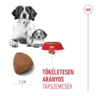 Royal Canin Size Health Nutrition Medium starter Mother&Babydog száraz kutyaeledel 4kg