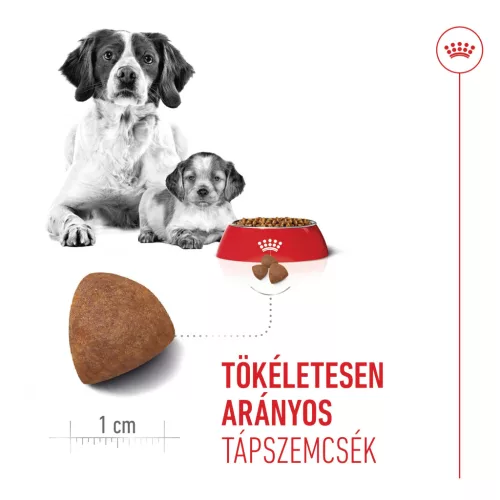 Royal Canin Size Health Nutrition Medium starter Mother&Babydog száraz kutyaeledel 4kg
